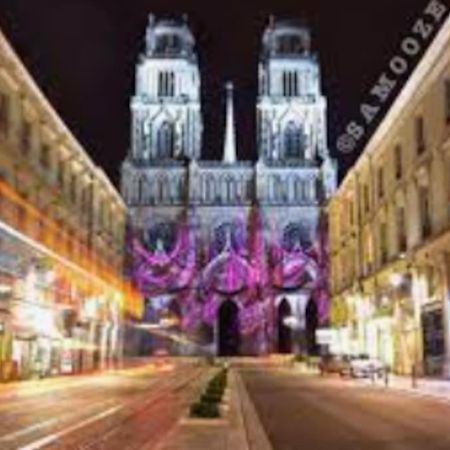 Chaleureux Appart, Proche De La Loire Avec Parking Daire Orléans Dış mekan fotoğraf