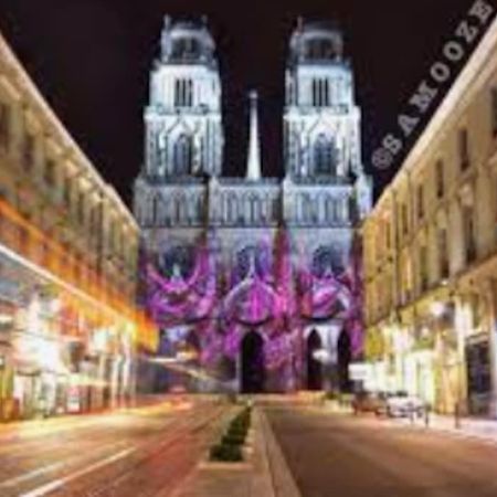Chaleureux Appart, Proche De La Loire Avec Parking Orléans Dış mekan fotoğraf