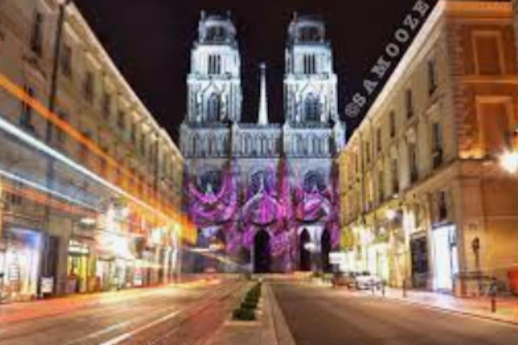 Chaleureux Appart, Proche De La Loire Avec Parking Orléans Dış mekan fotoğraf